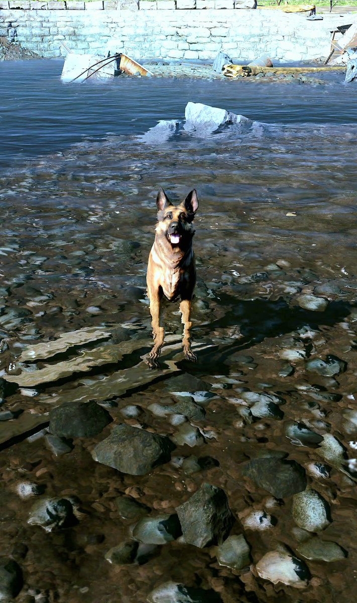 Fallout 4 💙💧🐕 #Fallout4