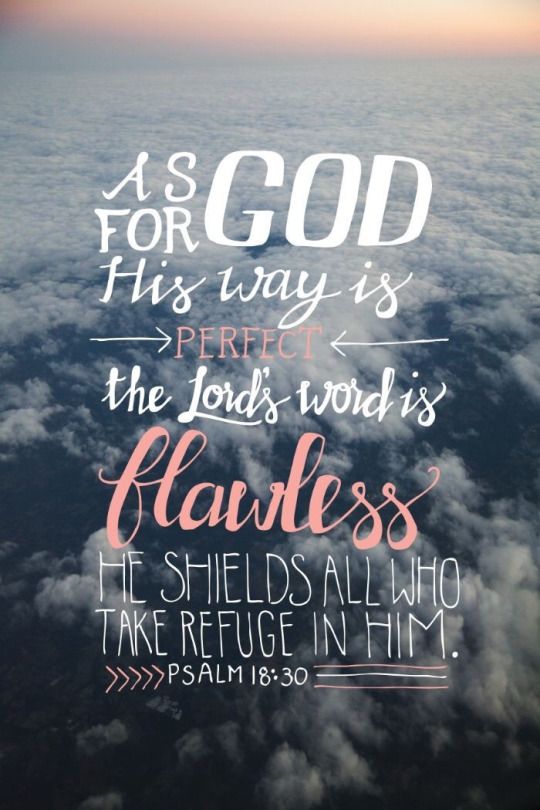 Psalms 18:30 As for God, his way is perfect: the word of the LORD is tried: he is a buckler to all those that trust in him. AMEN