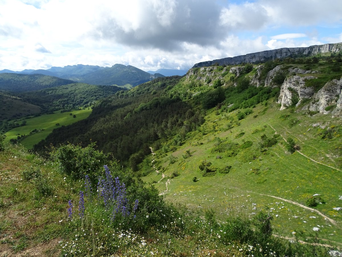 ¿No tienes plan para este fin de semana? Recorrido naturalístico: Secretos de Valderejo valderejoparkea.eus/es/web/valdere… @PatrimonioAlava, @alava, @Burgos, @RiojaAlavesa, @TurismoAlava, @DisfrutaBizkaia, @BizkaiaKultura, @Visitnavarra,@AnanakoKuadrila, @AnanaEuskaraz