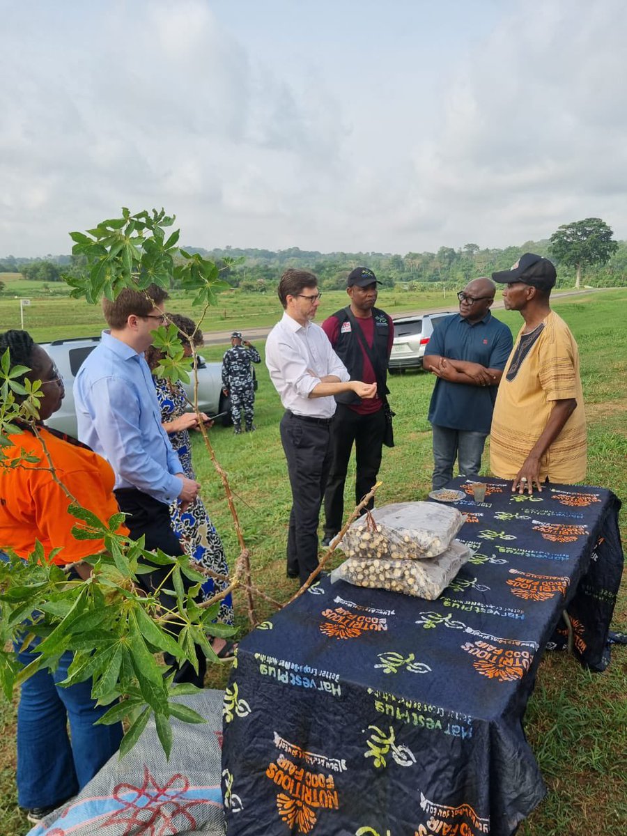 During my recent visit to @IITA_CGIAR, I saw first-hand the connection between research and delivery models through UK-funded @Propcomplus programme - and how it is helping to enhance food production for increased employments and improved livelihoods in 🇳🇬. #GoFarGoTogether🇬🇧🇳🇬