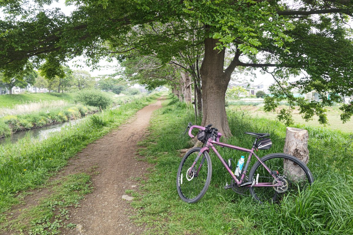 ここは桜並木なので桜だと思うが、1本だけ少しだけ花弁が残ってた。
こういう場所走れるのがグラベルロードの楽しさなんだろな。
バイクも自転車も、見た目はオンロードがカッコいいと思うけど、やって楽しいのはオフロードなんだよな。
バイクはオンロードもある程度は楽しいけど。