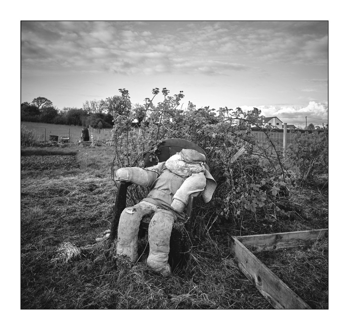 PICTURE OF THE DAY - That Friday feeling. #pictureoftheday #PhaseOne #CamboWRS #CarlZeiss #urbanphotography #bnw #bnwphotography #fineartphotography #ItsFriday #AllotmentLife #blackandwhite #blackandwhitephotography @rosie_thomo9