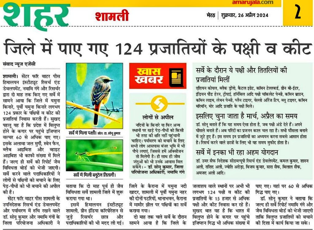 #TodayNews #AmarUjala #sonuwildlifeshamli #wildlifephotography #shamli #dposhamli #BirdsOfTwitter
@SoIB_India @World_Wildlife @UpforestUp 
@NWF