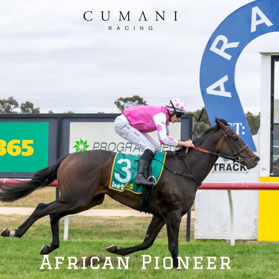 African Pioneer 
(Lonhro x Rosental)

Runs past them to break his maiden at Ararat.🥇

This son of Lonhro will be one to follow moving forward. 👀 

Congratulations to Colin and Sylvia who purchased him from @inglis_sales in 2022 from the @Cressfieldstud