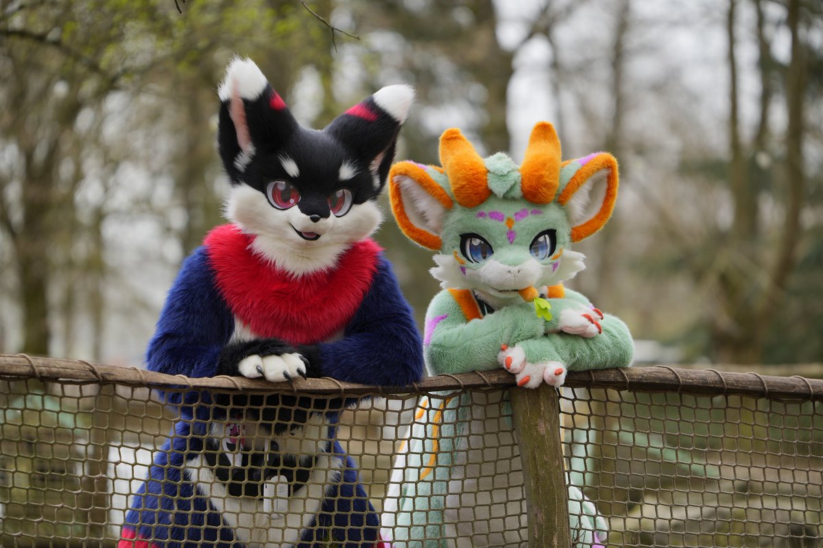 Happy #FursuitFriday to all of you. Yuki and @AilurusThePanda relax on a bridge and enjoy the view. :3 📸 : @LennyaaFluff