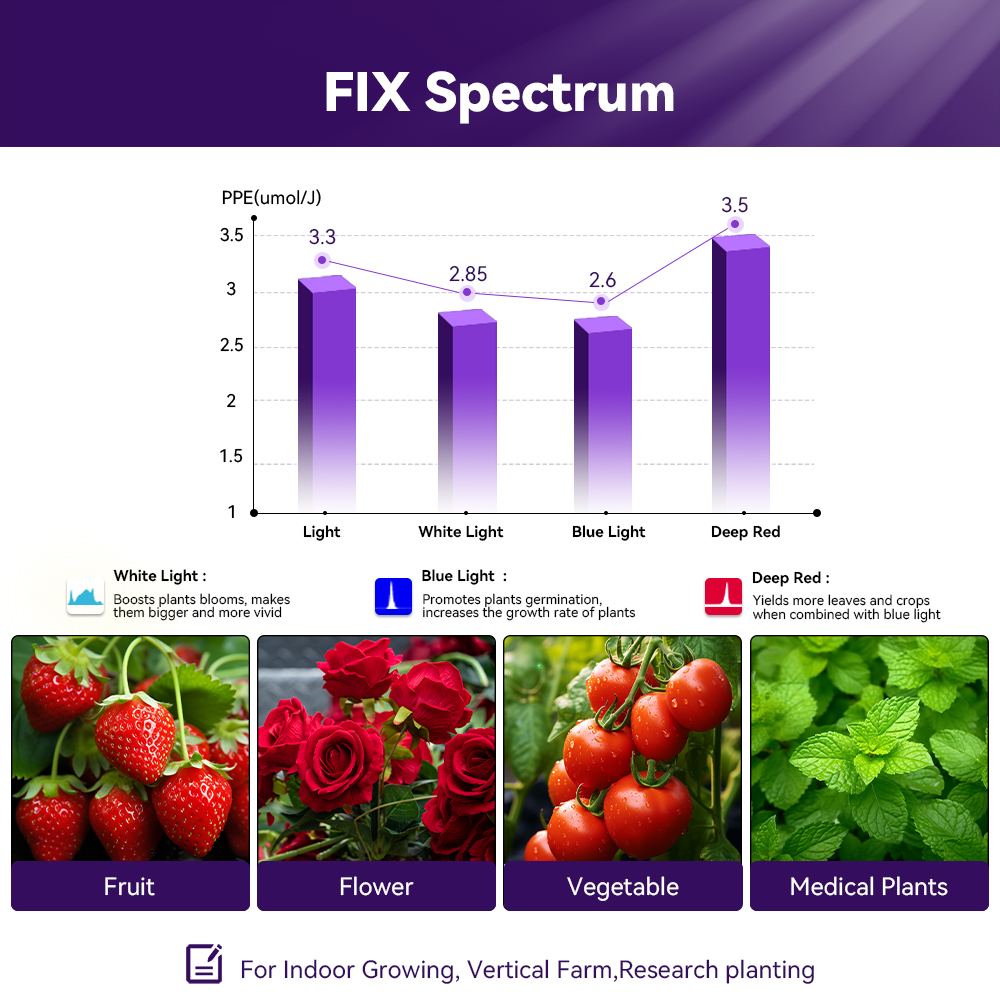 🍀New Specturm!!!!

🍀Contact us, Learn more.

#IndoorGardening #GrowLights #LEDgrowlights #horticulture #GrowYourOwn #Agriculture #LEDTechnology