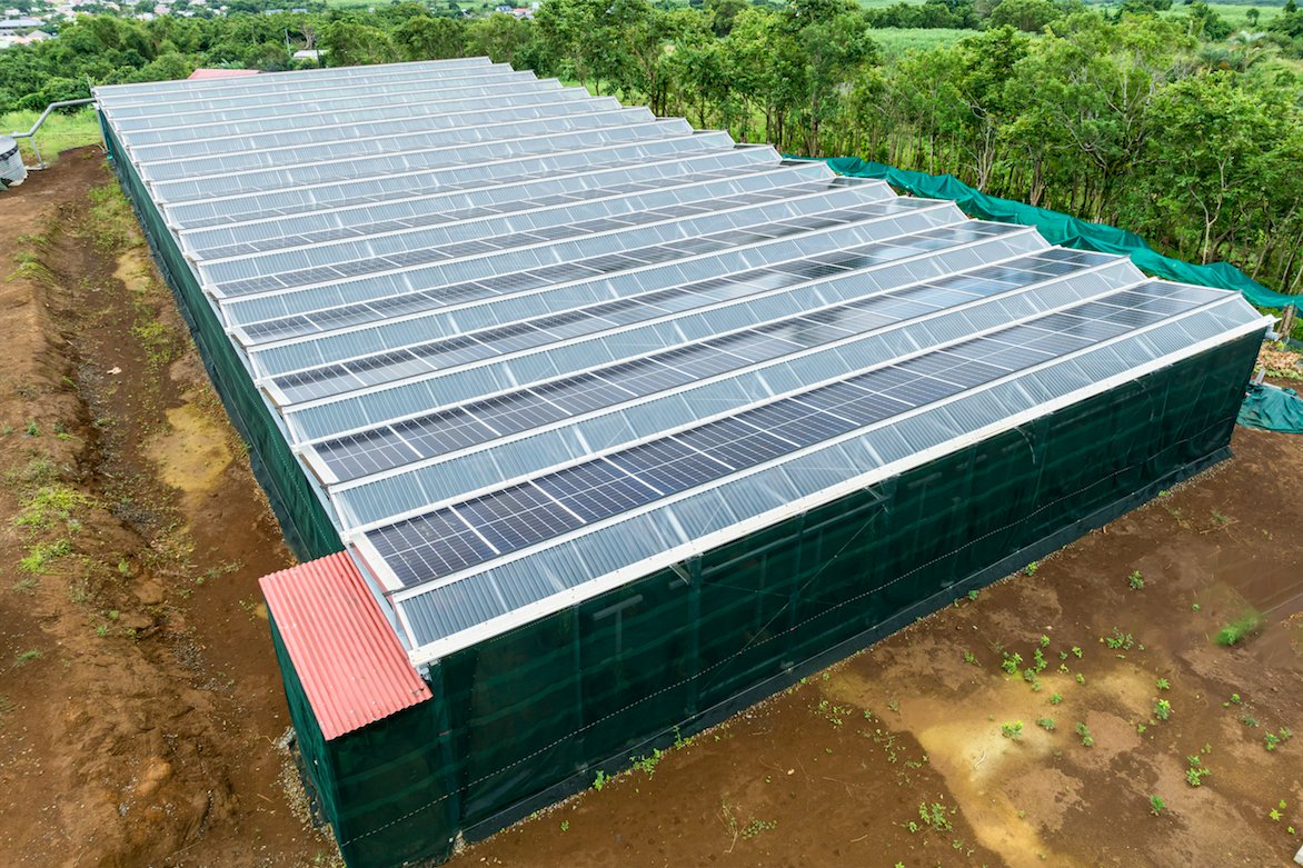 #LaRéunion : Inauguration d’ombrières photovoltaïques conçues pour la culture de la #vanille 

➡️tinyurl.com/3cfdv5de

☀️⚡️🌱L'entreprise privée <a href="/CorsicaSole/">CORSICA SOLE</a> et la coopérative Pro Vanille ont inauguré leurs premières ombrières photovoltaïques spécialement conçues pour la