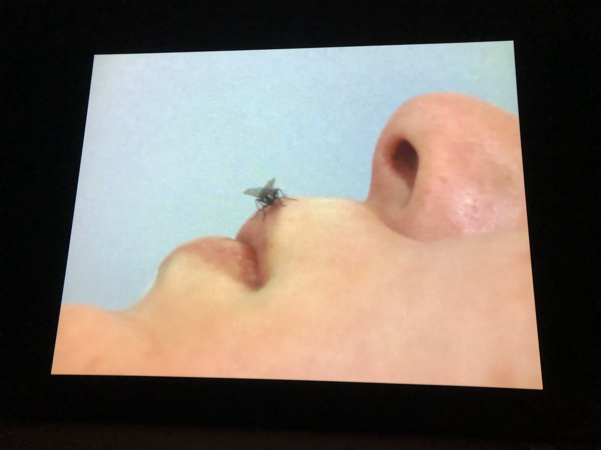 #FridayArtThoughts

Thinking about: FLY by #YokoOno

Read our reflections on Ono's film of a fly's journey across a sleeping women's body here: tinyurl.com/4n6uacb9

#experimentalfilm #art @Tate