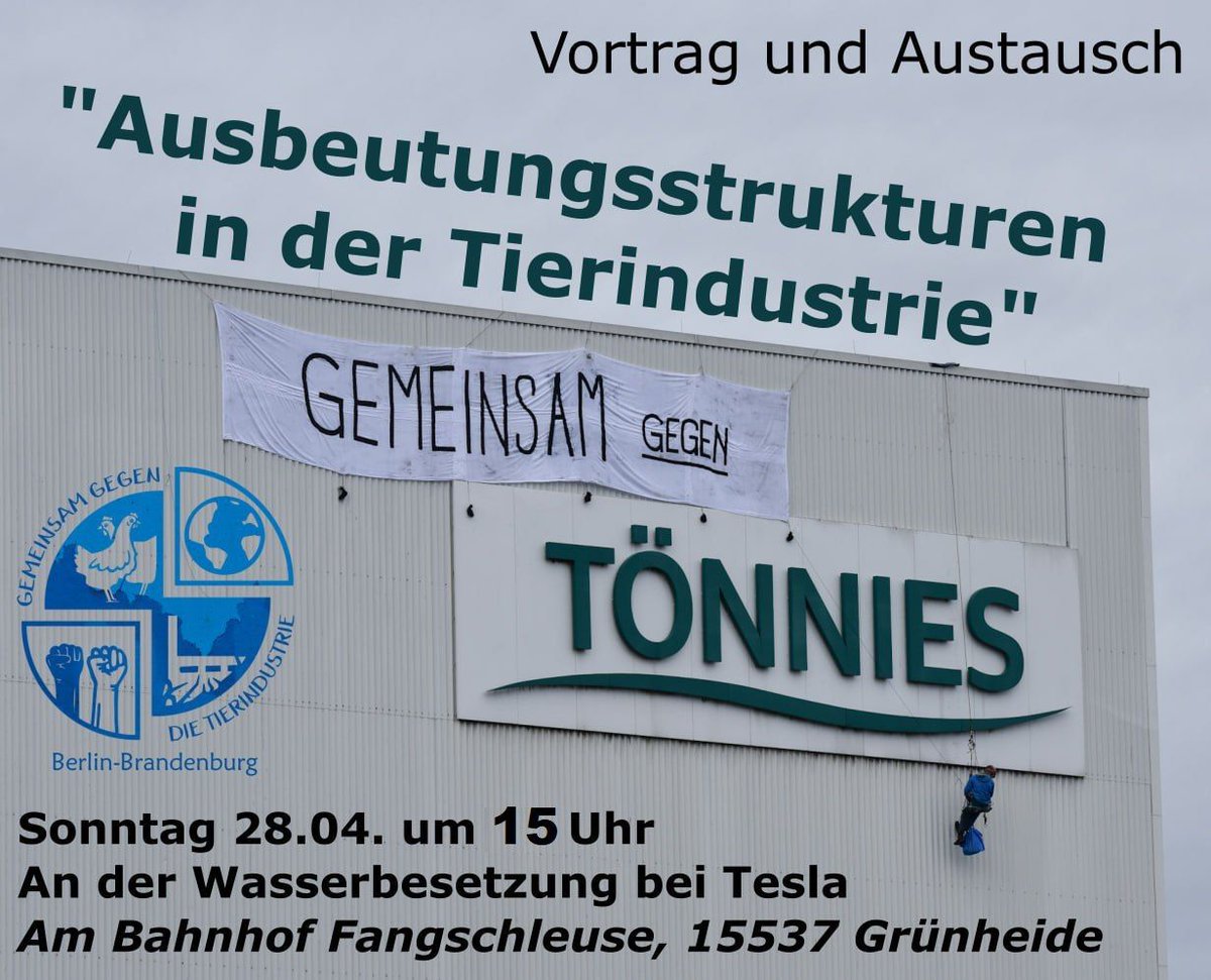 Gemeinsam gegen die Tierindustrie tweet media