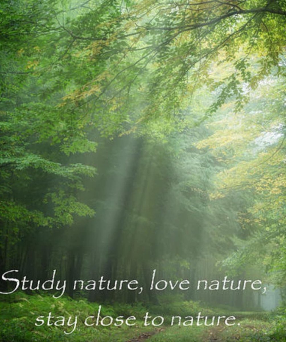 The beauty of nature 💚 #naturalhabitat
#lovewildlife #naturebeauty #LincsConnect #hottubstays #love