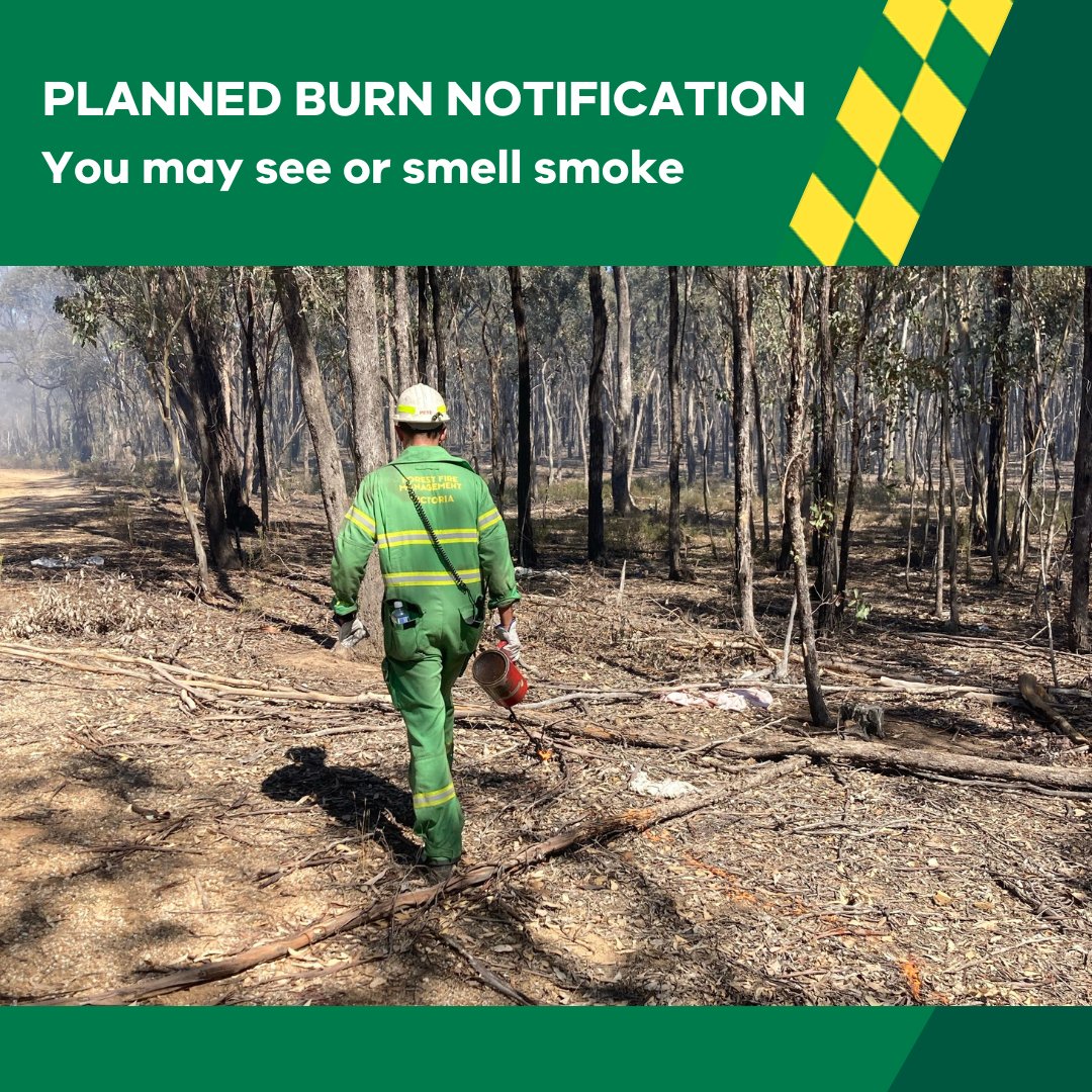 Our crews are #PlannedBurning in #BigDesertStateForest, #Kamarooka, #FloraHill, #Heathcote, #Muckleford, #Percydale and #Warrenmang in the coming days. You may see or smell smoke. More info at: vic.gov.au/plannedburns #FFMVic