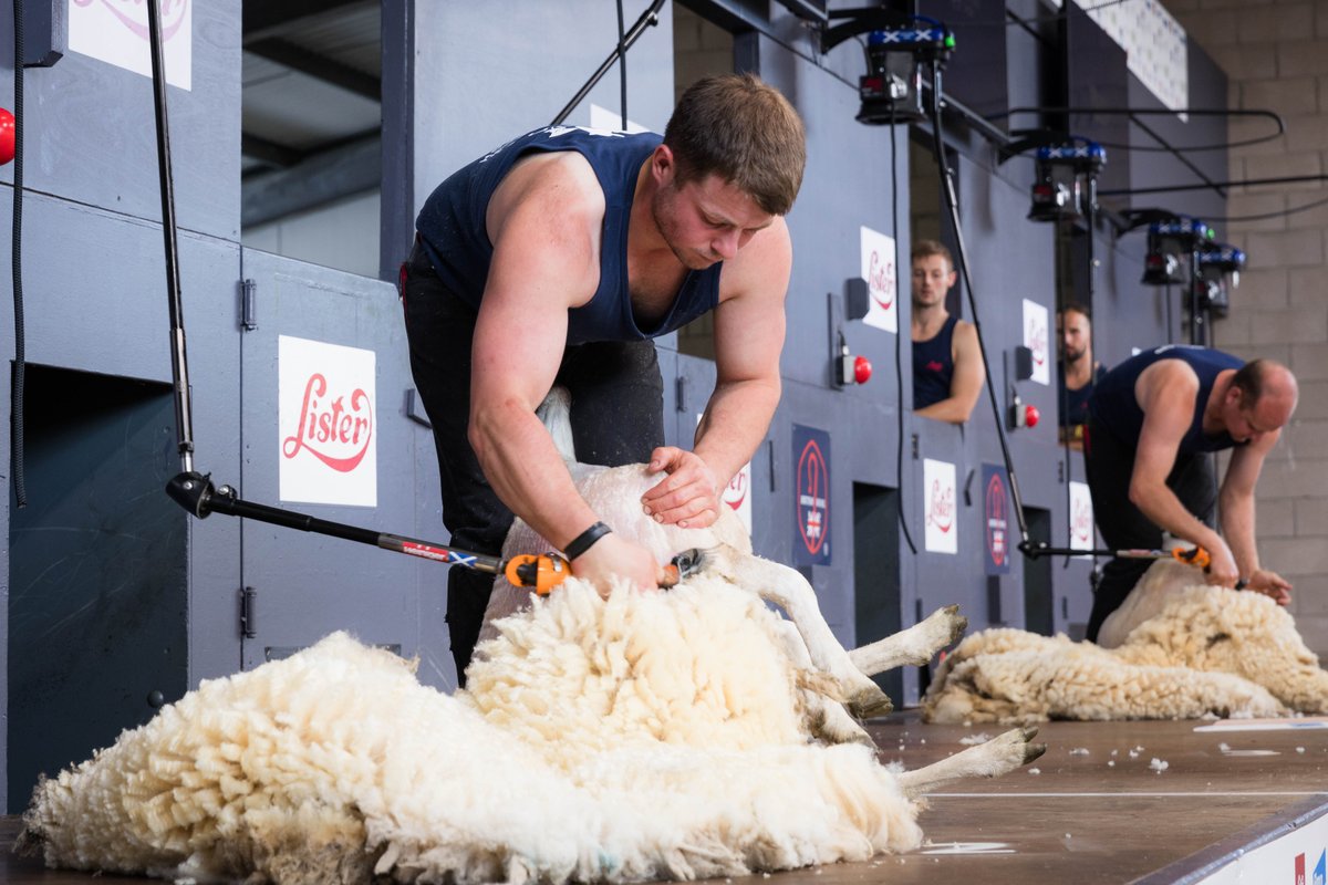 Only days left until Shearing and Fleece competition entries close on Tuesday 30th April! 🐑 Head to the website now to register, log in and see the schedules NOW : royalhighlandshow.org/trade-competit… @NSAScotland @ScottishShearing