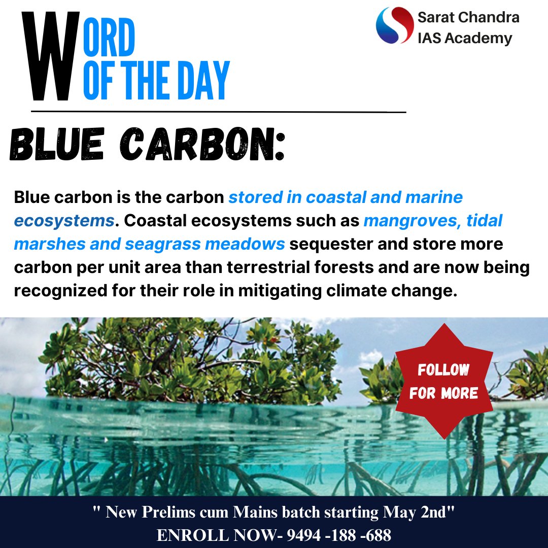 WORD OF THE DAY - BLUE CARBON
#civilserviceacademy #upscprelims #mains #ias #ips #upsc #upscmains #upscpreparation #upscprelims #ifs #irs #upscmotivation #andhrapradesh #upscaspirants #mains #andhrapradesh #vijayawada #tspsc #appsc #exam #carbon #bluecarbon #ecosystem #climate