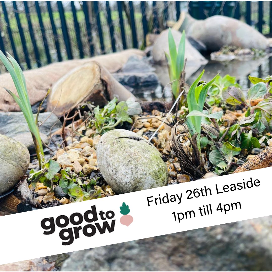 Visit our garden classroom and rewilded habitat creation area #goodtogrow 🪴Pot making and seed sowing- make paper pots and plant seeds to take home 🐛Bioblitz: Bug, plant and mini beast hunt- find, identify and help record plants and creatures