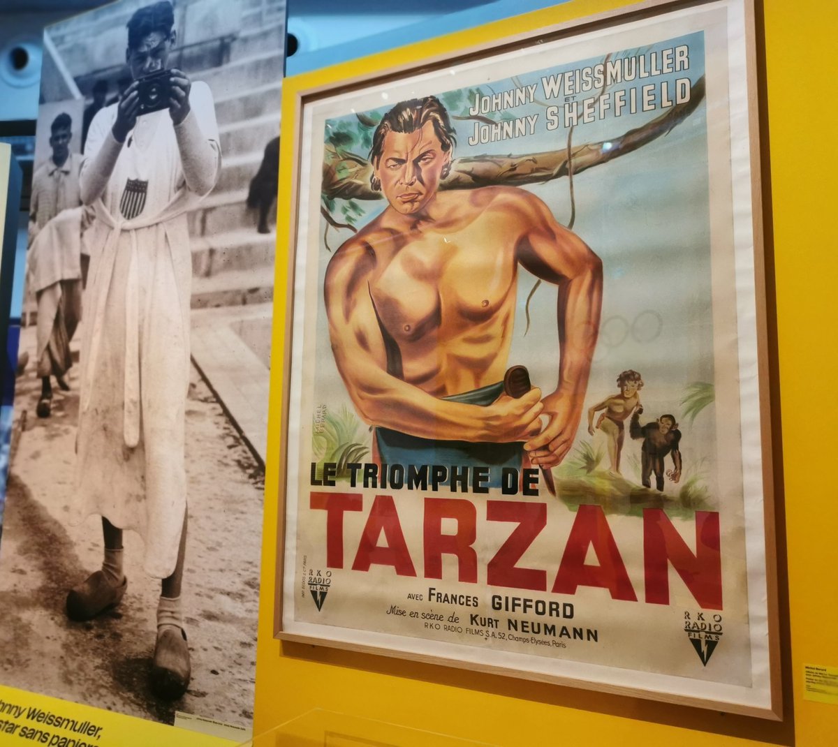 Philippe Delamarre tweet media