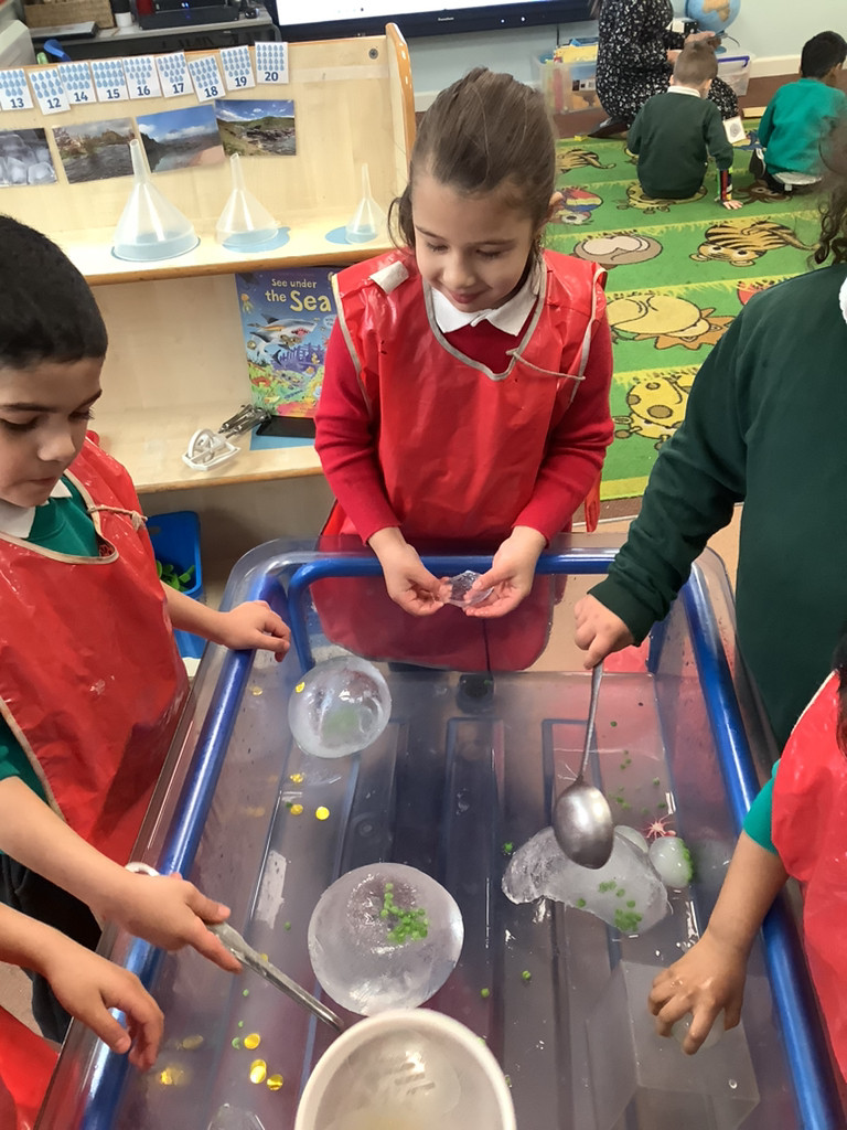 Reception Cherry have been learning the story of Supertato. We have enjoyed learning about the words freeze and defrost. We have explored ice, learning how it defrosts. We had fun trying to get 'Evil Pea' out.
We also enjoyed taste testing different vegetables.