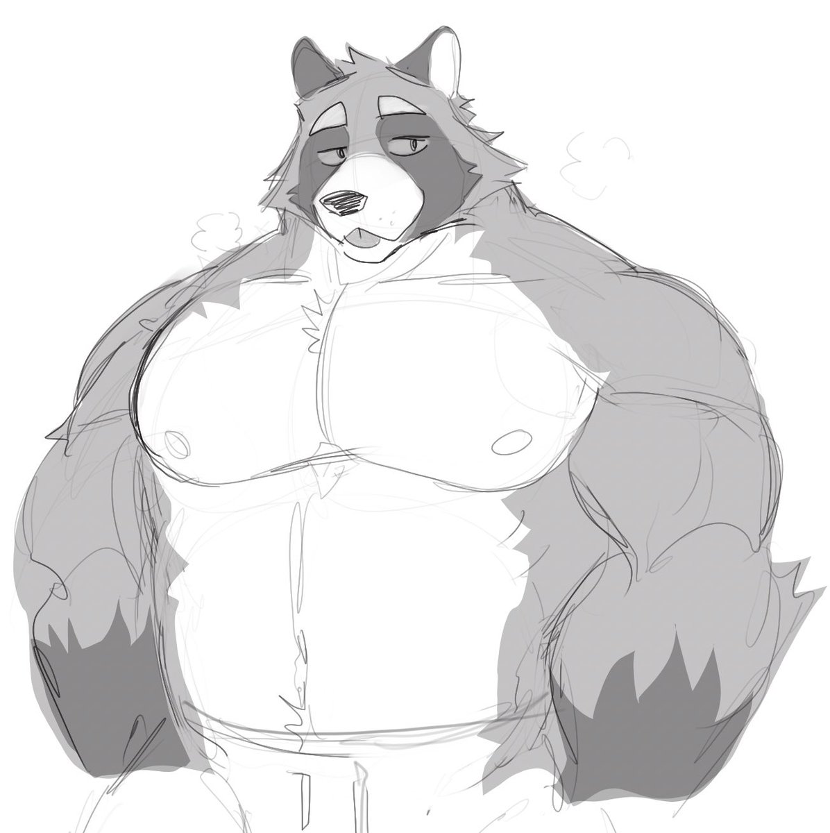 I Try drawing raccoon