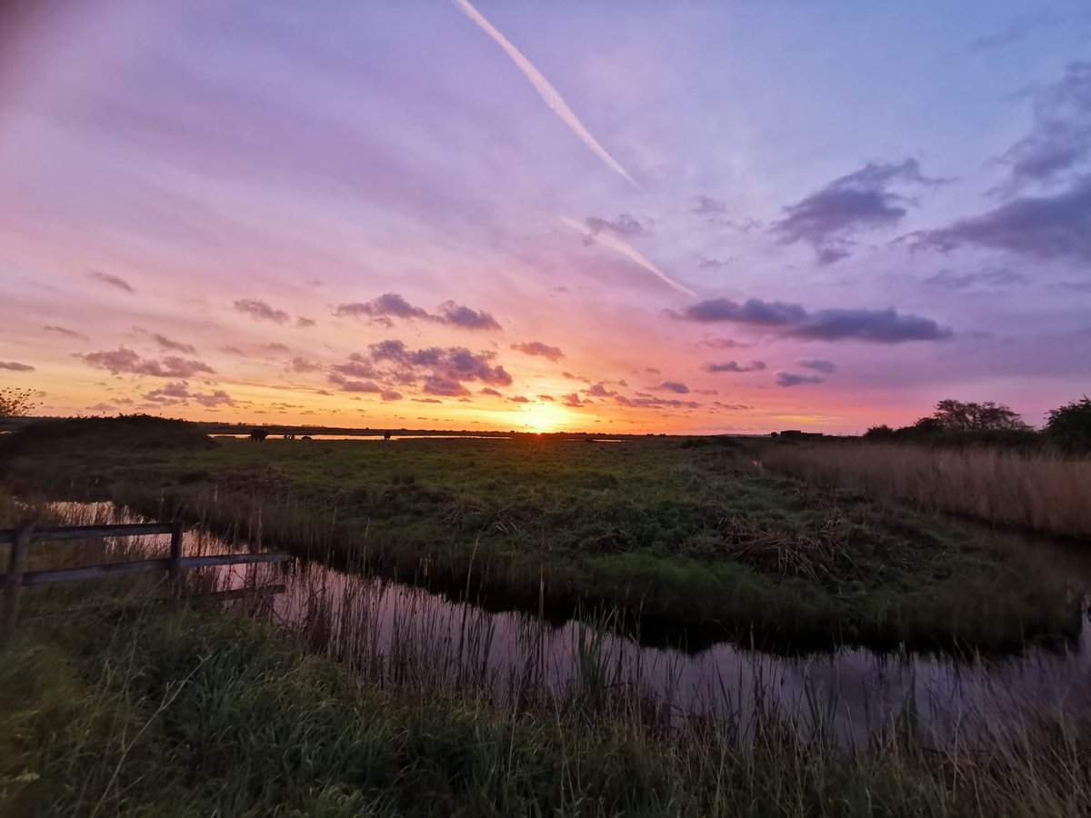 Good morning from Oare Marshes! Fancy a visit? More info here 👉 kentwildlifetrust.org.uk/nature-reserve… 📸 Area Warden Nadia