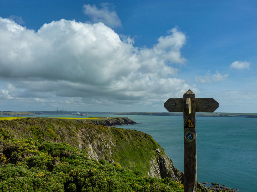 #FingerpostFriday pointing the way to spectacular scenery on the Pembrokeshire Coast Path @ItsYourWales @WalesCoastPath