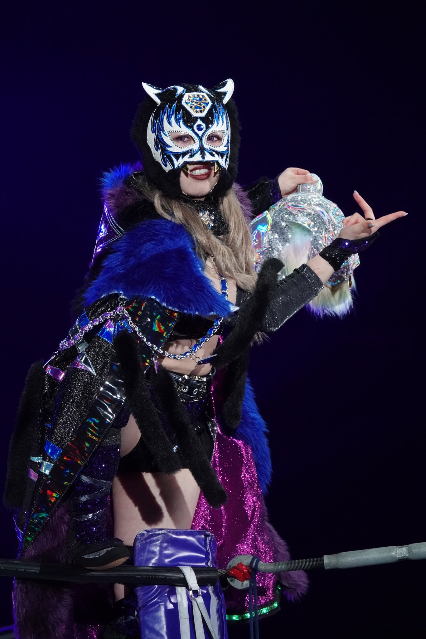 スターダム💙スターライト・キッド🐯🖤 on X:  