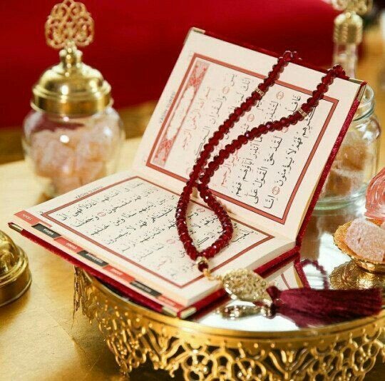 Assalam o alaikum🌹❤

Good afternoon x friends😍🌺🌹

Have a good day😍🌺🌹🌺🌺

X faimly🌺🌺🌹🌹

Will you reply my salam?