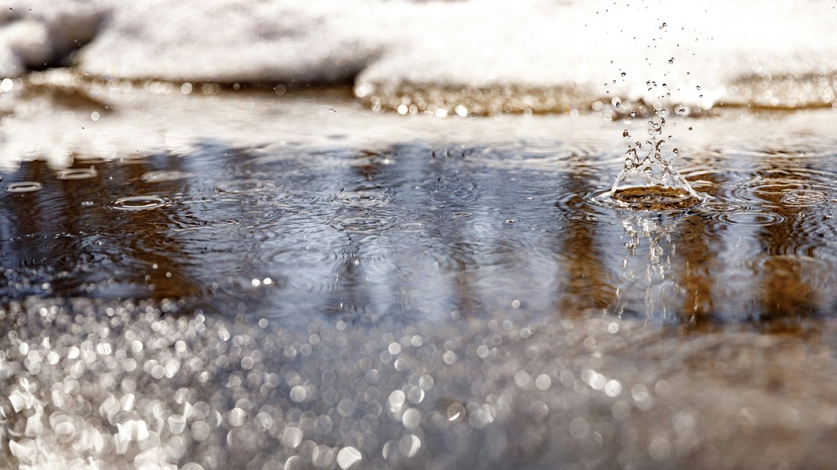 Vielä toissaviikolla auringonlämpö sulatti viimeisiksi arveltuja lumia. Kevät eteni vauhdilla, kunnes ei enää edennytkään. Miten takatalvi vaikutti vesien tulvavaaraan? 💧 🔗 Lue uutiskirjeestämme tuore arvio: ely-pir.viestitys.fi/messages/view/… #tulvat #vesi