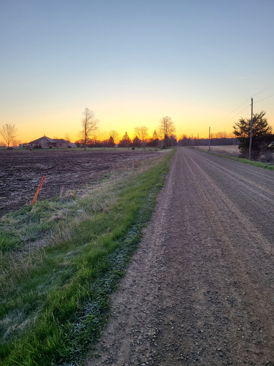 Grateful for spring mornings when the sun is coming up at the start of my walk instead of the end. 0C (32F) and heavy frost this morning.