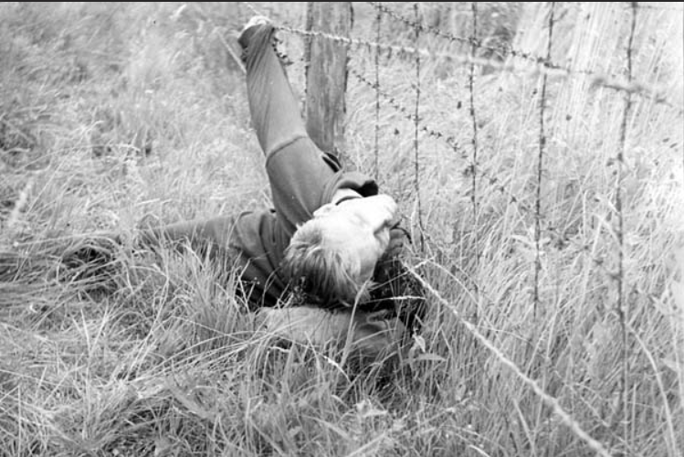 David Rangl tweet media