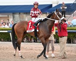 Holy Bull! Our Ocala Hero Hades is only 
100-1? 
'Have No Fear!
UnderHorse is Here!' 
#HorseRacing #KentuckyDerby