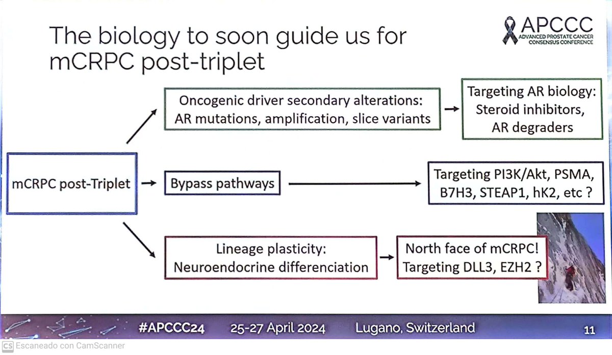 UroTarget tweet picture