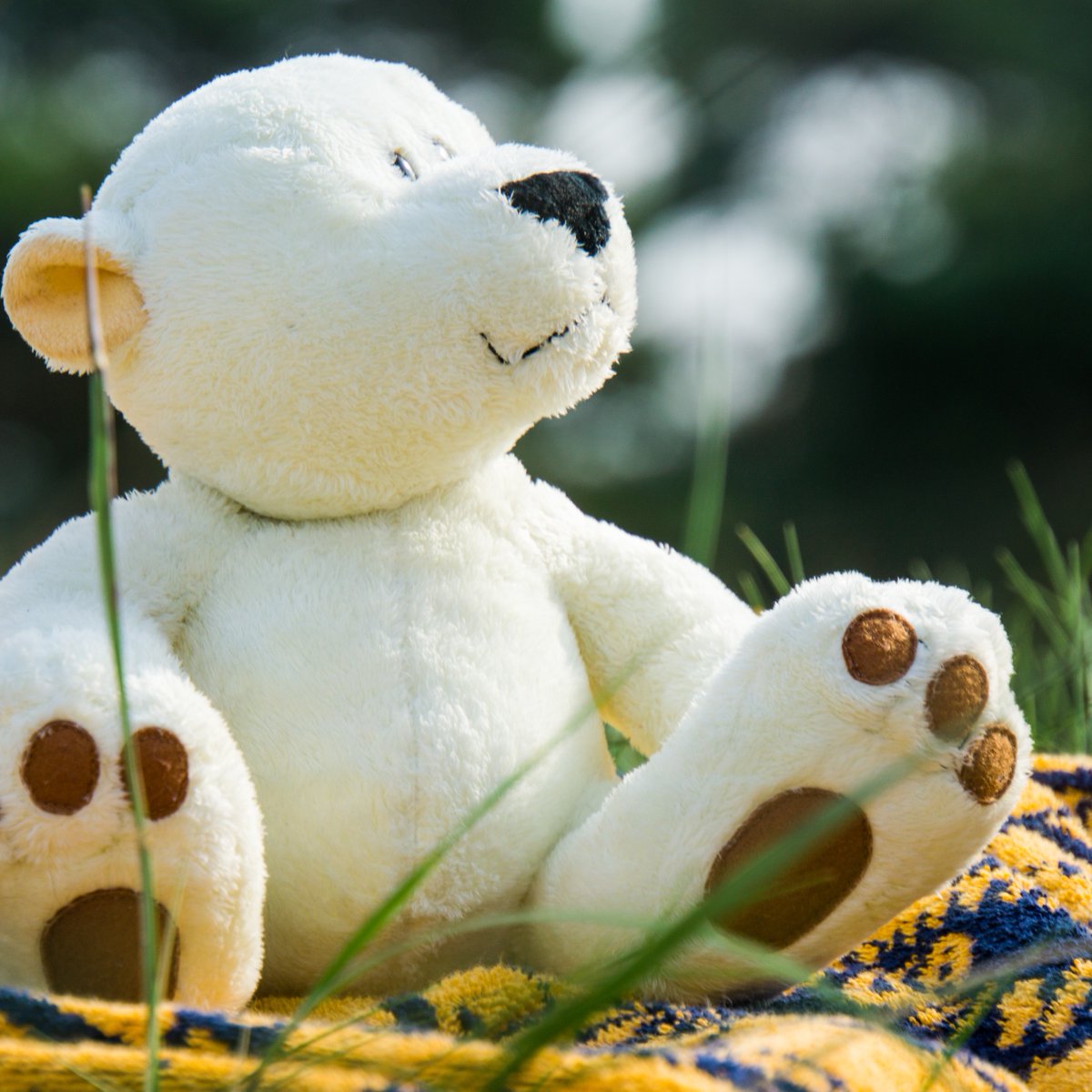 It's not too late to join Sunday's teddy bear picnic! You and your favourite teddy can enjoy a springtime picnic in the historic walled garden. Enjoy crafts, games, magic performances and so much more! Learn more and book now: bit.ly/3EeqtDS