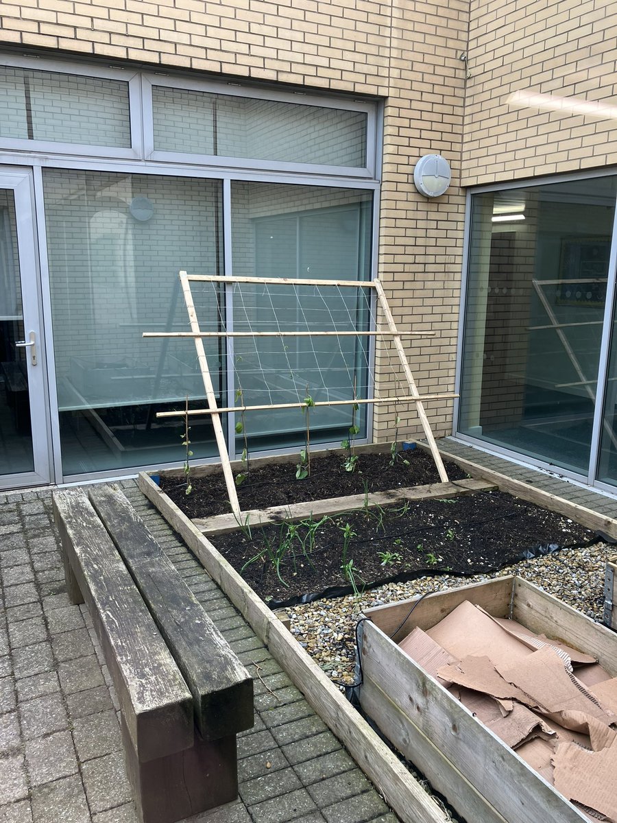 The school allotment starting to take shape again
