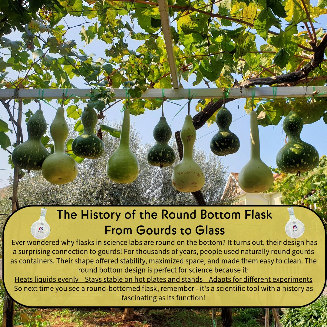 #astraglassinnov #ScienceHistory #RoundBottomFlask #gourds #factoftheday