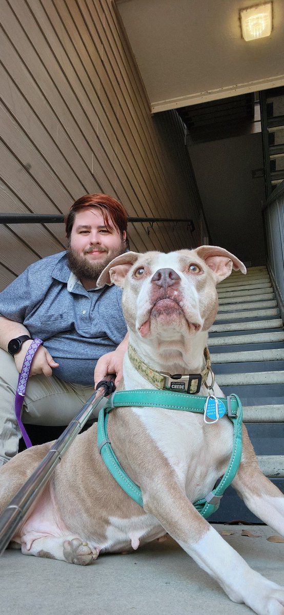 AustSwin98's tweet image. 