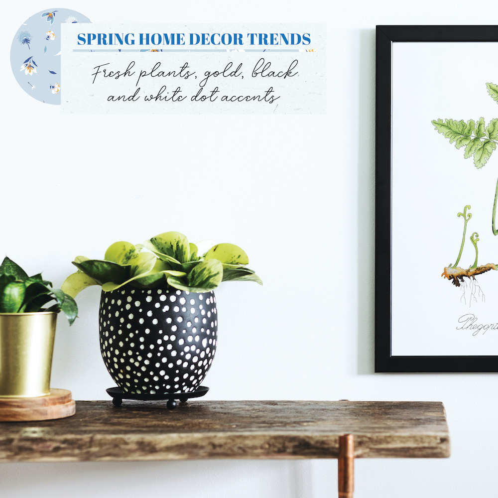 Fresh plants, gold, and black and white accents are an easy way to bring bold spring style into your home.
Peggy Toledo, Realtor
941-900-9613
#buyerselleragent #bilingual #floridasunshine #floridahomes #firsttimehomebuyers #renters #peopleperson