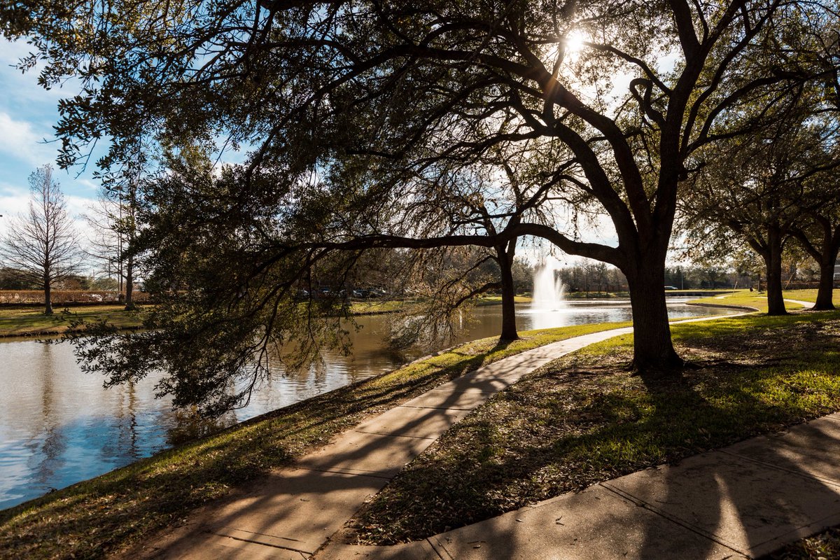 The majesty is all around us in #TX07 this #ArborDay.