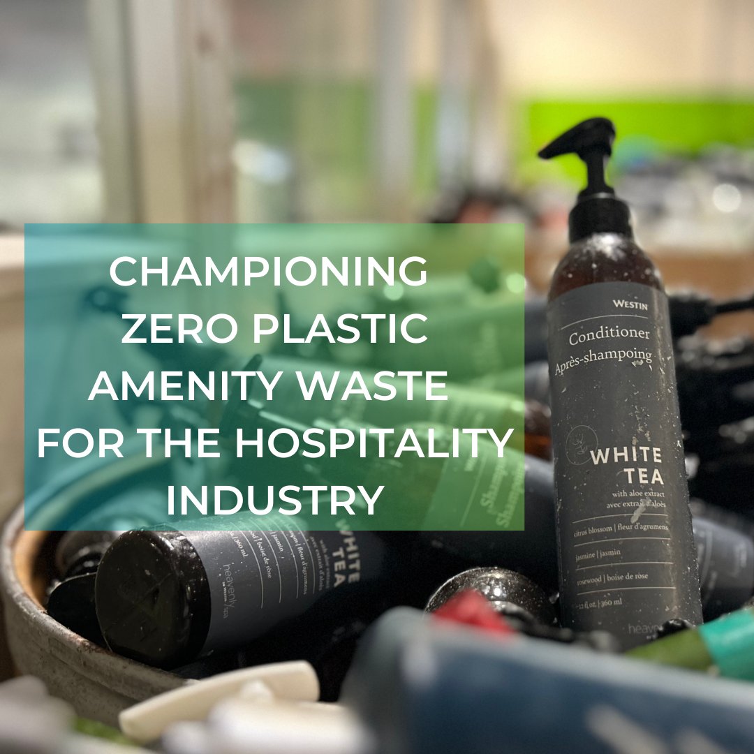 Greengage highlighted @CleantheWorld and its critical role challenging both hotel guests and establishments to adopt sustainable practices. hubs.la/Q02tWYng0 (2mn read) #earthday #cleantheworld #globalimpact #sustainability #recycling #maketheworldabetterplace