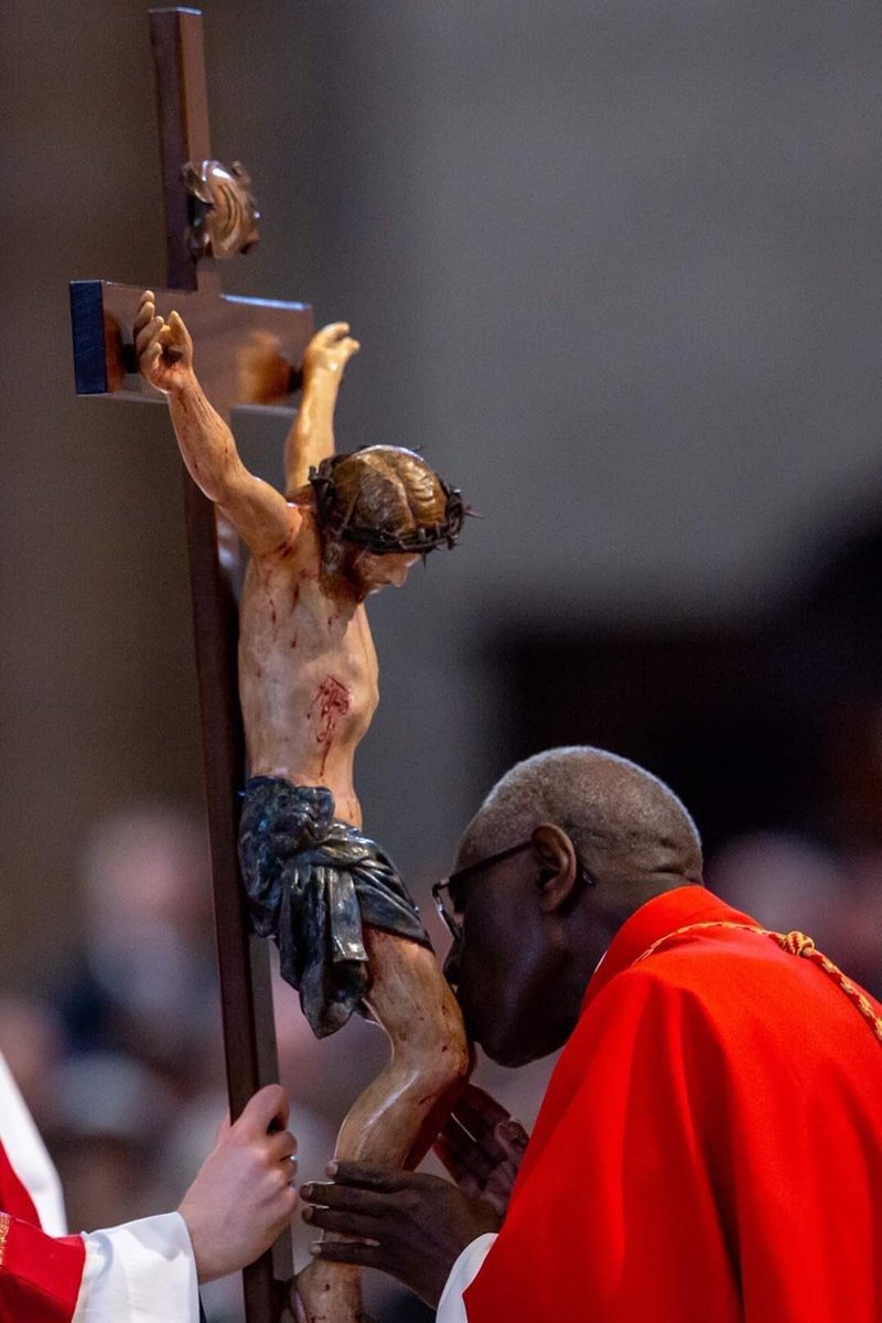 In our materialistic societies, we always think that what is true has to be tangible and immediate. But God’s love is veiled in silence, suffering, death, in the tortured, ruined flesh of Jesus who is dying on the Cross. - Robert Cardinal Sarah