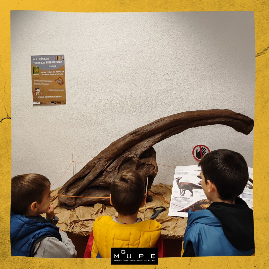 #FossilFriday Nos llegan fotos de la iniciativa q estamos llevando a cabo con las #bibliotecasmunicipales de #Elche para celebrar el 20º aniversario @mupe_elche
En 6 de ellas encontrarás  una selección de libros de Ciencias de la Tierra junto a réplicas de fósiles
@ajuntamentelx