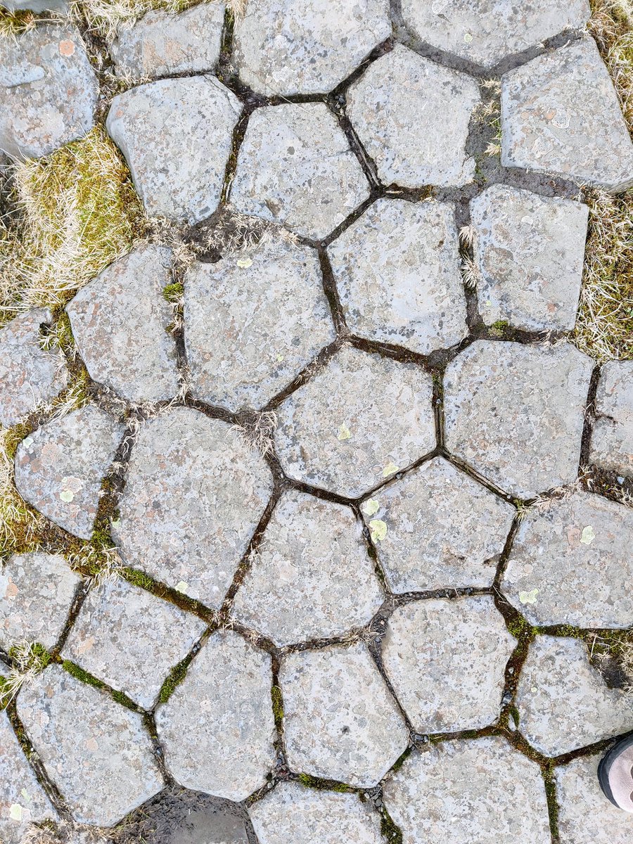 Le Kirkjugólf, toponyme islandais signifiant littéralement « sol de l'église » en français, est une formation géologique d'Islande. Ça ressemble à un pavage artificiel, mais c'est une formation naturelle #géologie #nature #naturelovers #volcans #islande Crédits : Karim Madjer