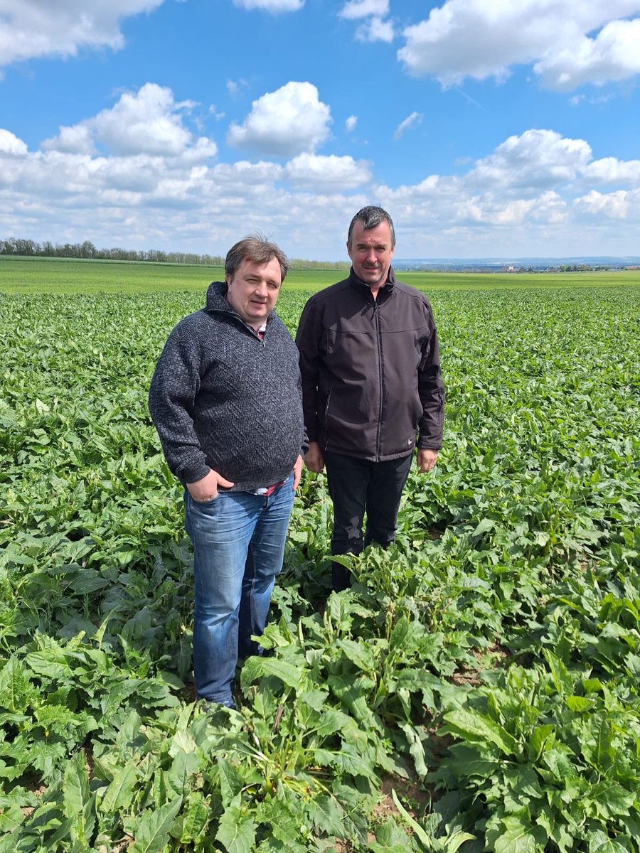 Today, we are pleased to announce the Czech Association for #Agroforestry, chaired by Dr Houška (right), and the Czech Association for #RegenerativeAgriculture, chaired by Rostislav Mátl, (left) signed a MoU in research, advocacy, and knowledge exchange. @Agroforestry