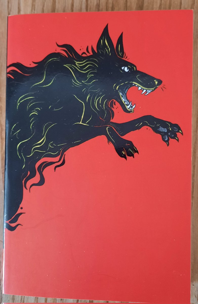 I really enjoyed #IAmWolf by @alastair_ch Great characters, page-turning action and sci-fi thrills! Readers who'll go on to Mortal Engines and the Chaos Walking books will love this, while I was reminded of The Tripods too. Out from @NosyCrow on the 9th May so get your copy then!