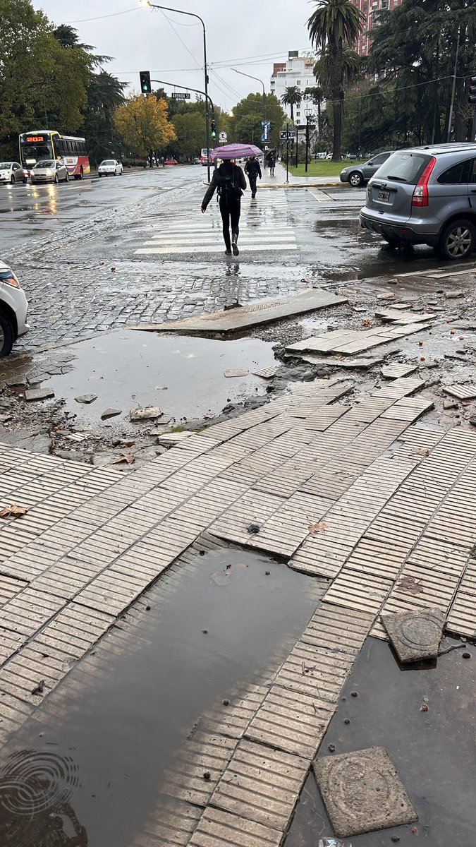 Antes el problema del peatón y la lluvia en La Plata era la baldosa floja, ahora directamente caminar es una carrera de obstáculos