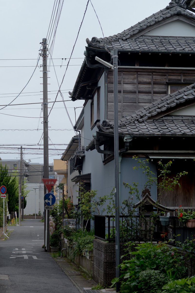 日常
＃毎スナ　#スナップ 　#イクメン 　#写真好きな人と繋がりたい  ＃フォトウォーク　＃PhotoWalk　＃Chiba　＃Japan