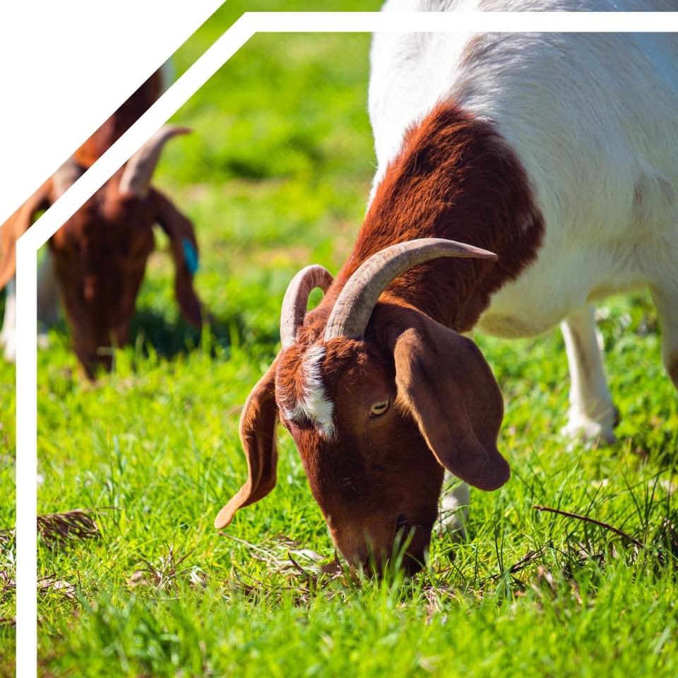 River Valley FFA tweet media