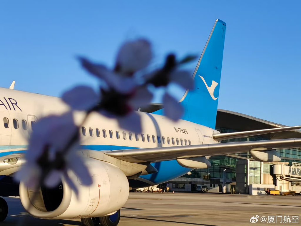 🌸✈️ As spring blossoms in all its glory, our egret stands ready to take you on an unforgettable journey! 🌼🌍 Share your spring travel dreams with us! #SpringBlossom #TravelInspiration
