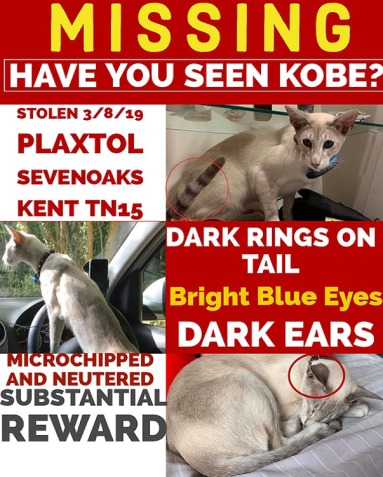 Dr Daniel Allen (@dr_dan_1) on Twitter photo 🚨New academic paper alert! 🚨
#TooHotToHandle: Making lost and stolen pets present in virtual space.
sciencedirect.com/science/articl…
By @JamieArathoon <a href="/Dr_Dan_1/">Dr Daniel Allen</a> & Alicia Hallatt
#Geoforum #OpenAccess #AnimalGeographies <a href="/RGSAnimals/">RGS Animal Geographies</a> <a href="/KeeleGGE/">Keele GGE</a> 🚨New academic paper alert! 🚨
#TooHotToHandle: Making lost and stolen pets present in virtual space.
sciencedirect.com/science/articl…
By @JamieArathoon <a href="/Dr_Dan_1/">Dr Daniel Allen</a> & Alicia Hallatt
#Geoforum #OpenAccess #AnimalGeographies <a href="/RGSAnimals/">RGS Animal Geographies</a> <a href="/KeeleGGE/">Keele GGE</a>
