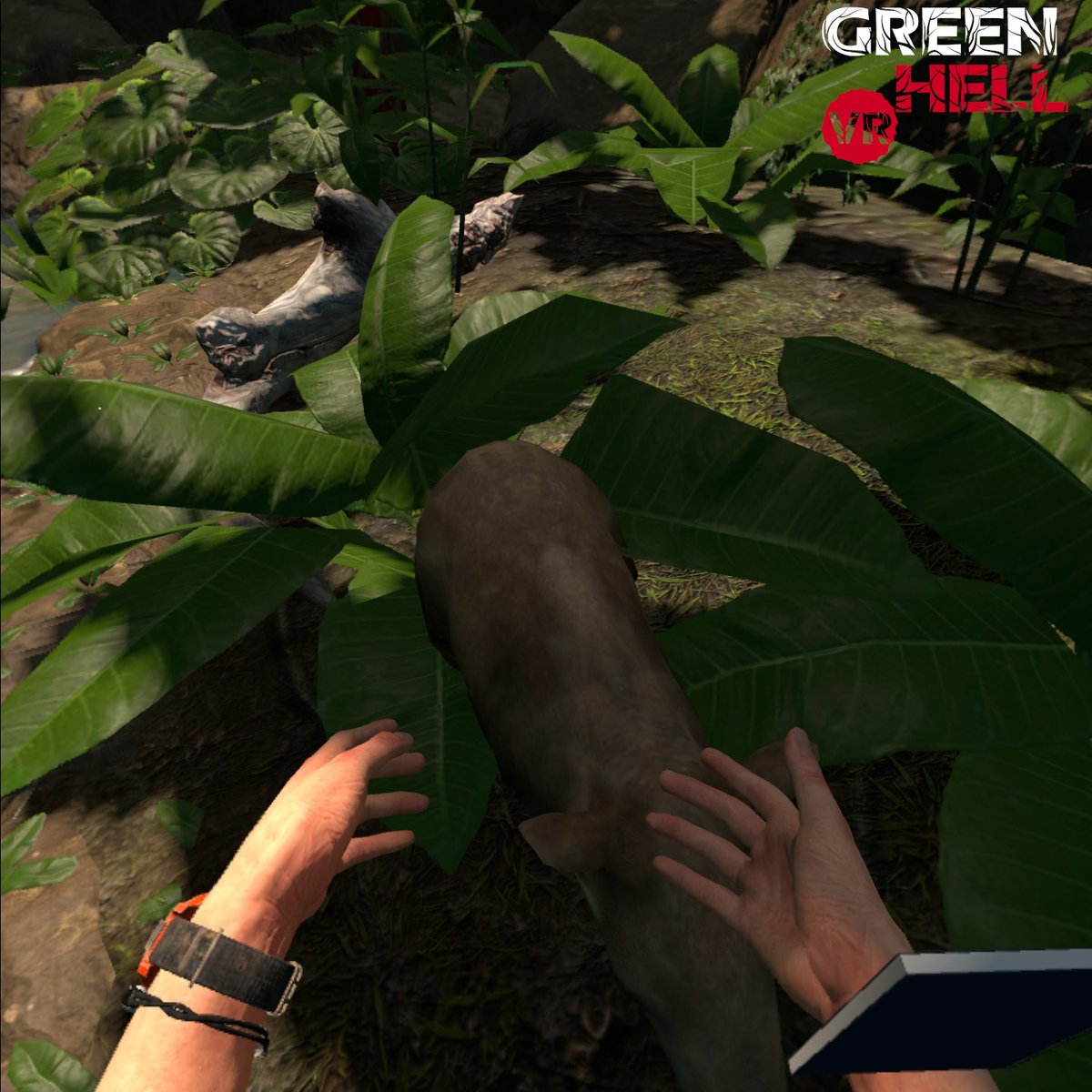 GreenHellVR's tweet photo. We just wish we could pet all the animals 😭
If you could have any animal to join you in your jungle adventures, which one would you pick? 🦜
#oculus #spiritsofamazonia #vr https://t.co/Ne9O50zqmd