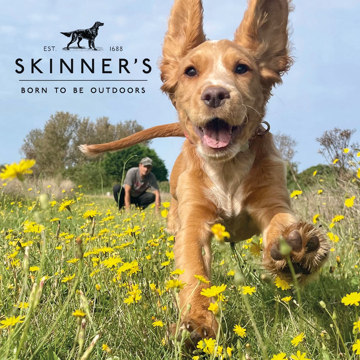 Sponsored by Skinners, this week's dog of the week is Betty. At three months old, Betty is described as a “wonderful, crazy, happy girl, full of fun”, and she will be joining rough shoots next season. She loves to chase everything but hasn’t quite grasped the “leave” command…