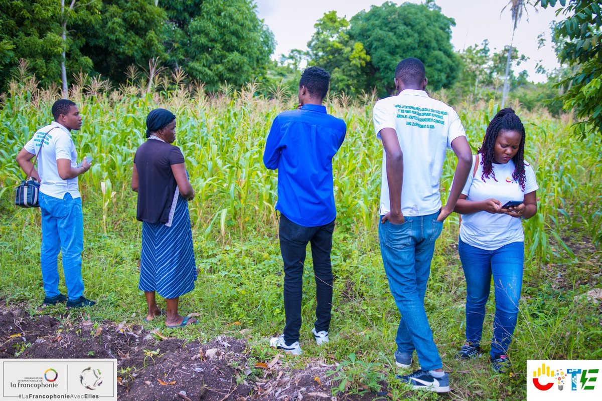 cite04's tweet photo. Déterminé à soutenir les #communautés, @cite04 visite les bénéficiaires du projet d'entrepreneuriat agricole des femmes à #CampPerrin, Sud. État des lieux également de plusieurs espaces où @cite04 compte lancer une nouvelle initiative : "Champs École Paysans". https://t.co/aSo2rPiJtU